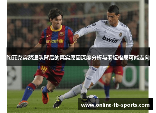 陶菲克突然退队背后的真实原因深度分析与羽坛格局可能走向