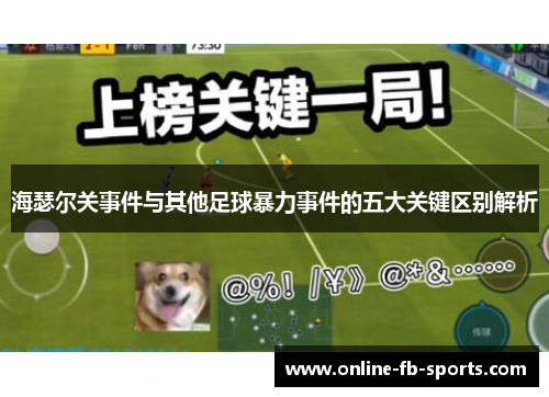 海瑟尔关事件与其他足球暴力事件的五大关键区别解析