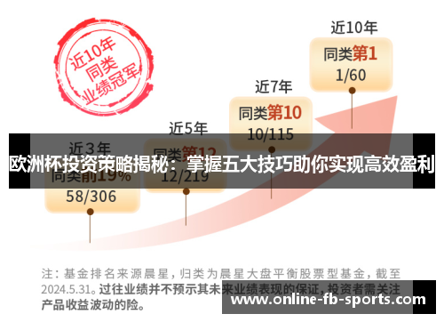 欧洲杯投资策略揭秘：掌握五大技巧助你实现高效盈利