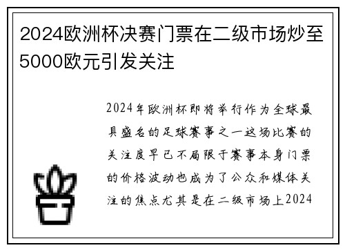2024欧洲杯决赛门票在二级市场炒至5000欧元引发关注